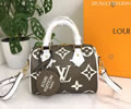 Louis Vuitton Women Bag LV