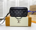 Louis Vuitton Handbag bag LV