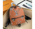 Louis Vuitton BackPack LV