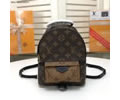 Louis Vuitton BackPack LV