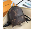 Louis Vuitton BackPack LV