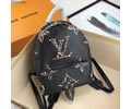 Louis Vuitton BackPack LV