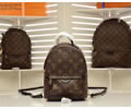 Louis Vuitton BackPack LV