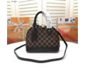 Louis Vuitton Women Bag LV