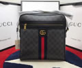 Gucci Ophidia size L Men bag