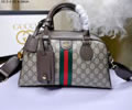 Gucci Ophidia Women Bag