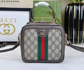 Gucci Ophidia Women Bag