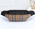 BURBERRY Waist bag best quality
