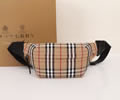 BURBERRY Waist bag best quality