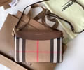BURBERRY House bag best quality