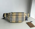 BURBERRY Waist bag best quality