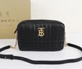 BURBERRY bag best quality