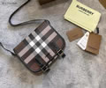 BURBERRY Mens bag best quality