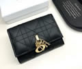 Dior Wallet best quality