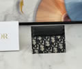 Dior Card bag