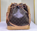 Louis Vuitton Womens Bag LV