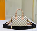 Louis Vuitton PEEDY BANDOULIERE 20 Bag LV