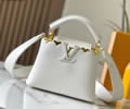 Louis Vuitton Capucines Mini Bag LV