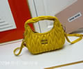 MiuMiu Wander bag best quality