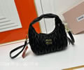 MiuMiu Wander bag best quality