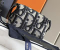 Dior Handbag Top quality 1:1