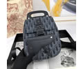 Dior Dior Oblique Backbag bag