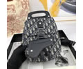 Dior Dior Oblique Backbag bag