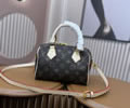 Louis Vuitton Women Bag LV