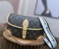 Louis Vuitton DIANE Women Bag LV