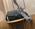Louis Vuitton Diane Women Bag LV