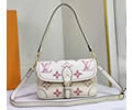 Louis Vuitton Women Bag LV