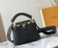 Louis Vuitton Women Bag LV