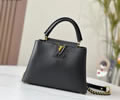Louis Vuitton Women Bag LV