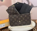 Louis Vuitton Women Bag LV