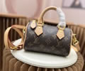 Louis Vuitton Women Bag LV