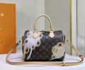 Louis Vuitton Women Bag LV
