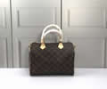 Louis Vuitton Women Bag LV