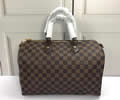 Louis Vuitton Women Bag LV