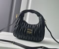 MiuMiu Wander bag