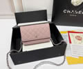 CHANEL Woc Women bag