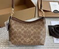Coach Women bag best quality