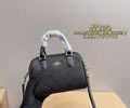 Coach Women bag best quality