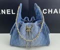 CHANEL HOBO Women bag
