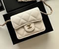 CHANEL Women bag