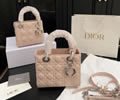 Dior bag best quality