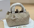 DIOR Vertical Toujours bag best quality