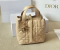 DIOR Toujours bag best quality
