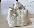 DIOR Toujours bag best quality