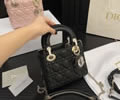 Dior bag best quality