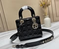 Dior bag Szie 20CM